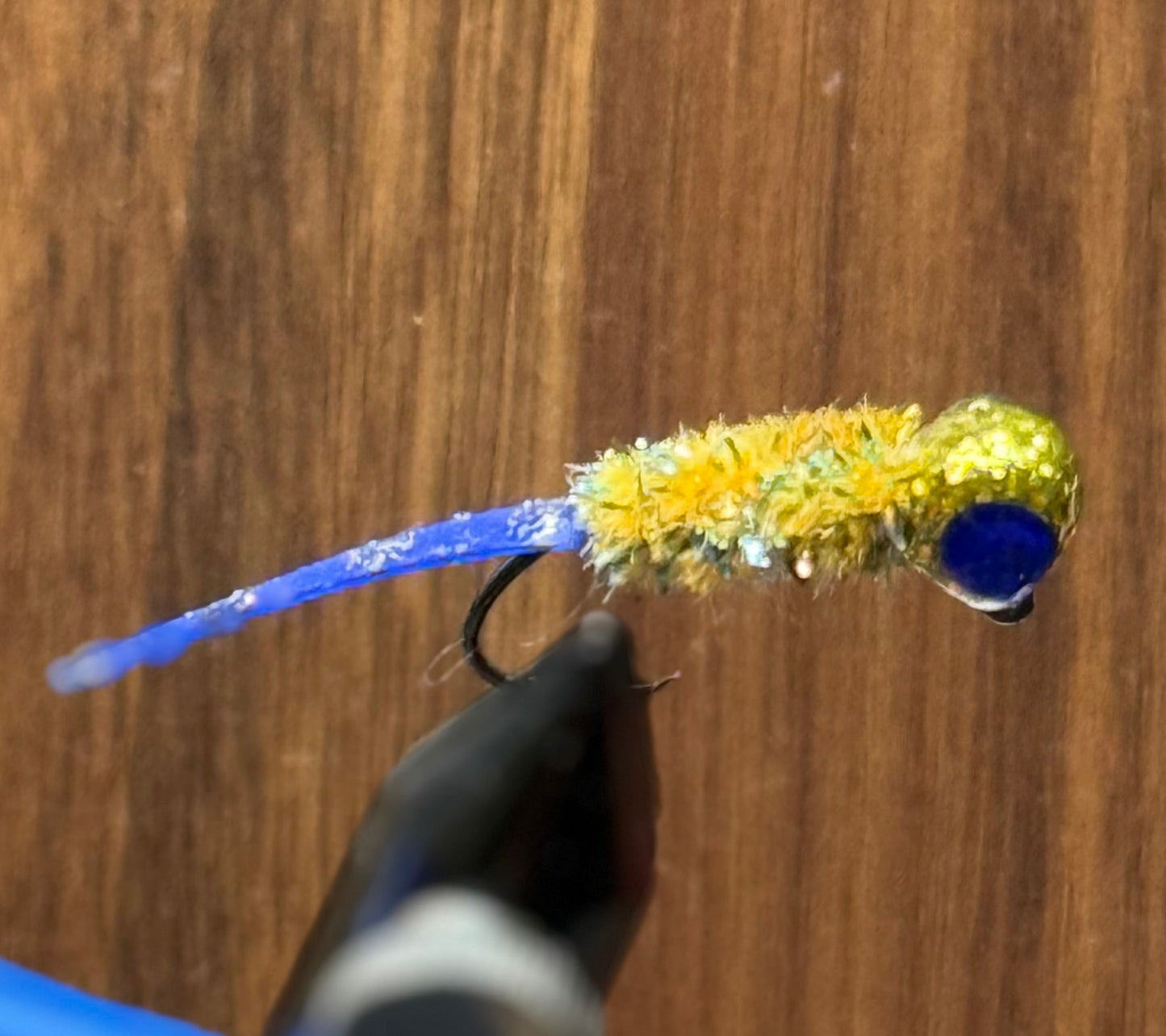 Royal minnow