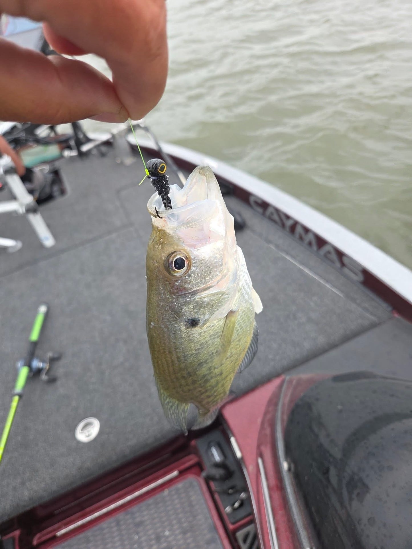 Black flash by pro staff member Clayton Yoder