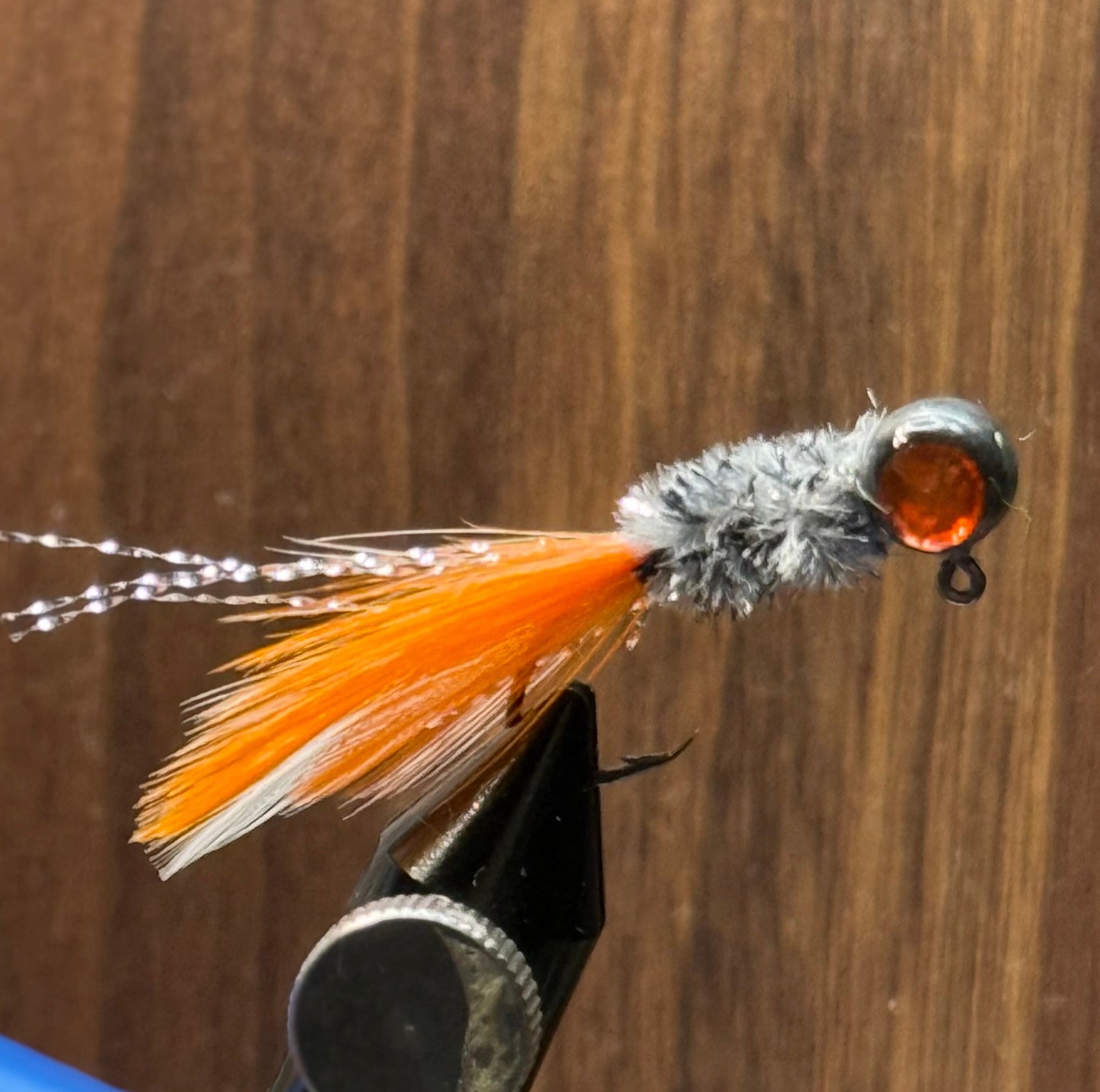 Sunset minnow