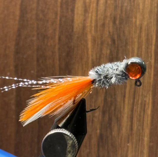 Sunset minnow