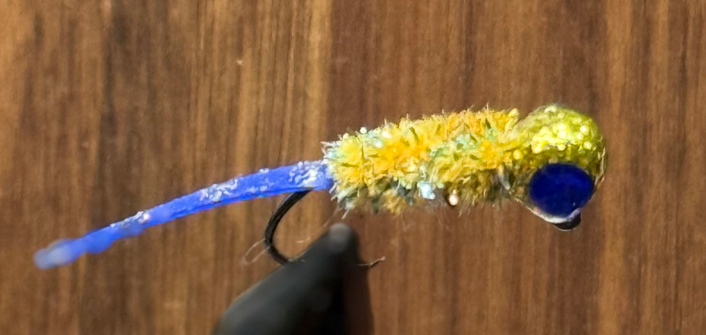 Royal minnow