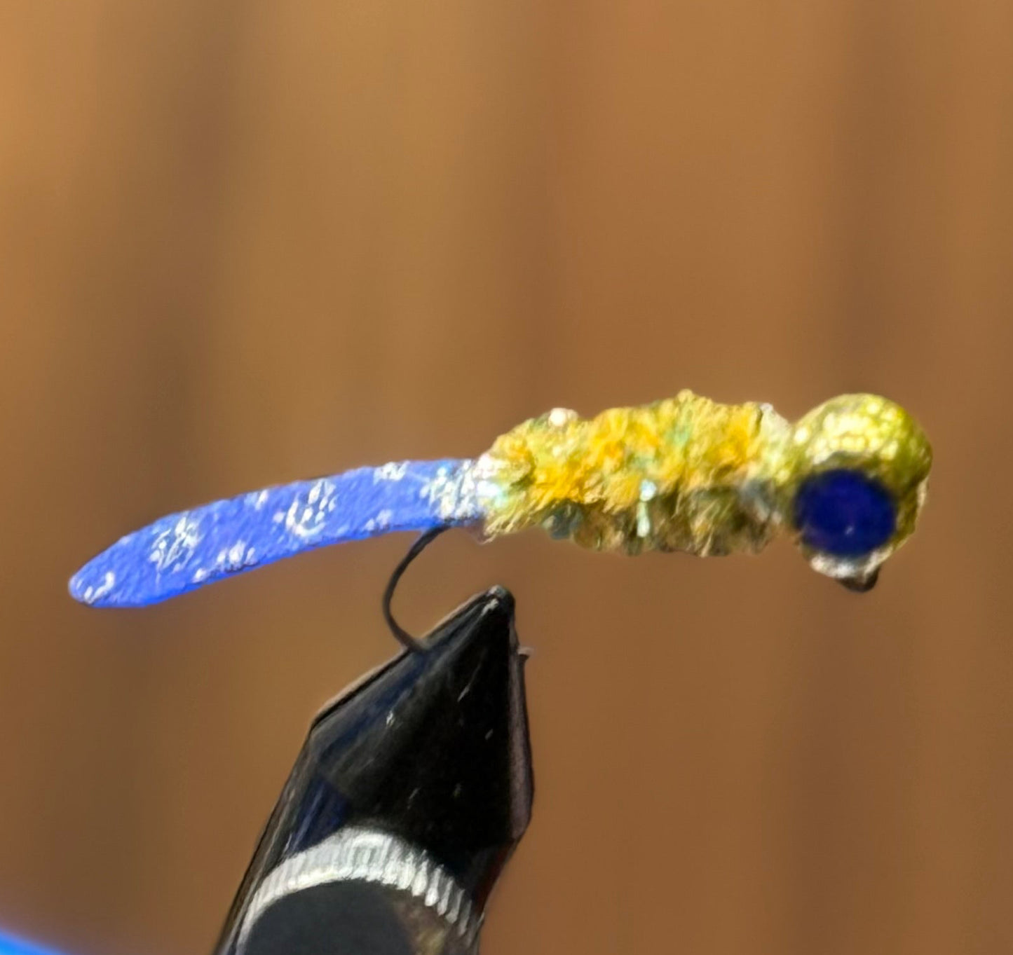 Royal minnow