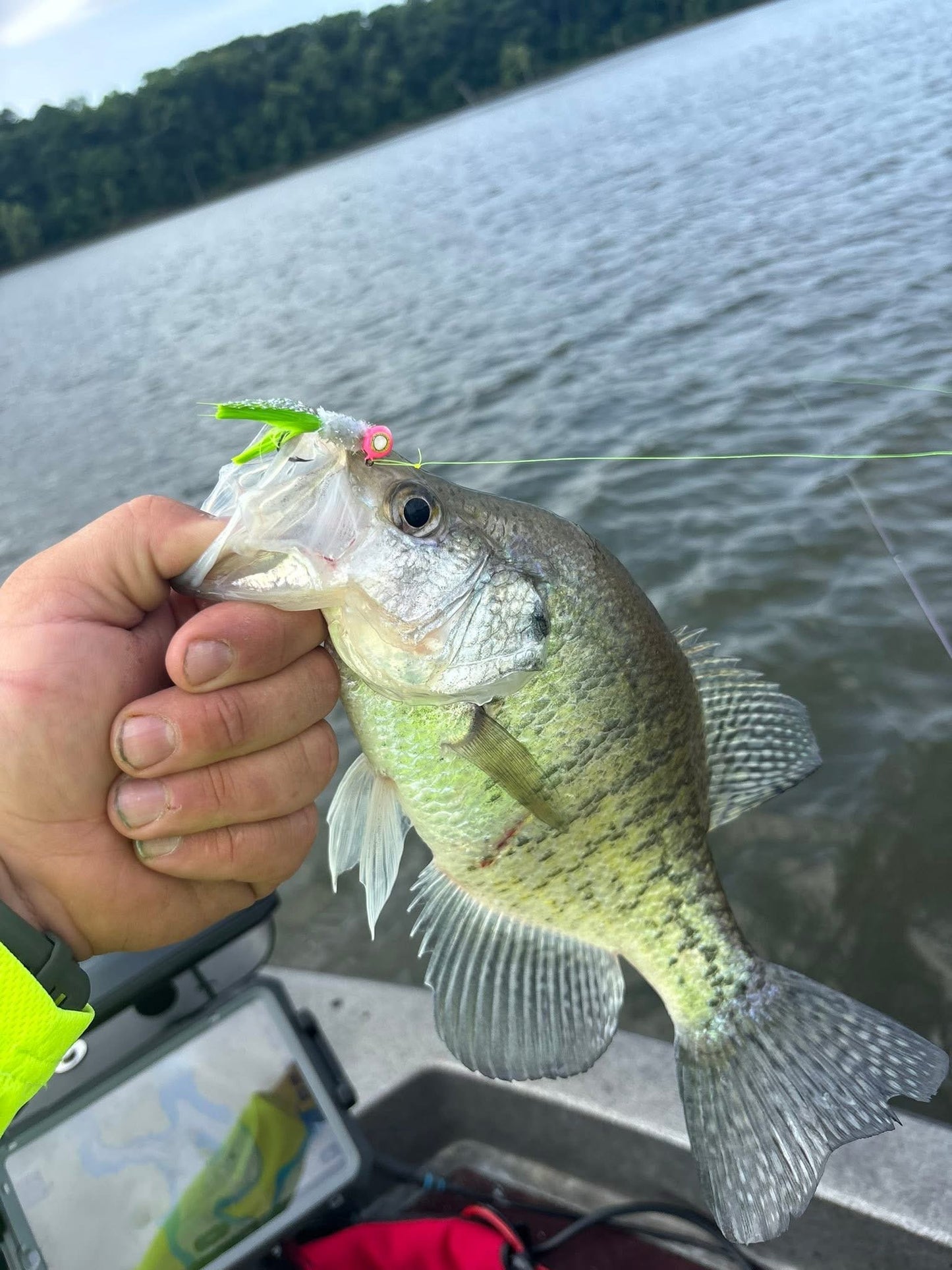 Crappie Kardashian by pro staff member Tyler Anderson