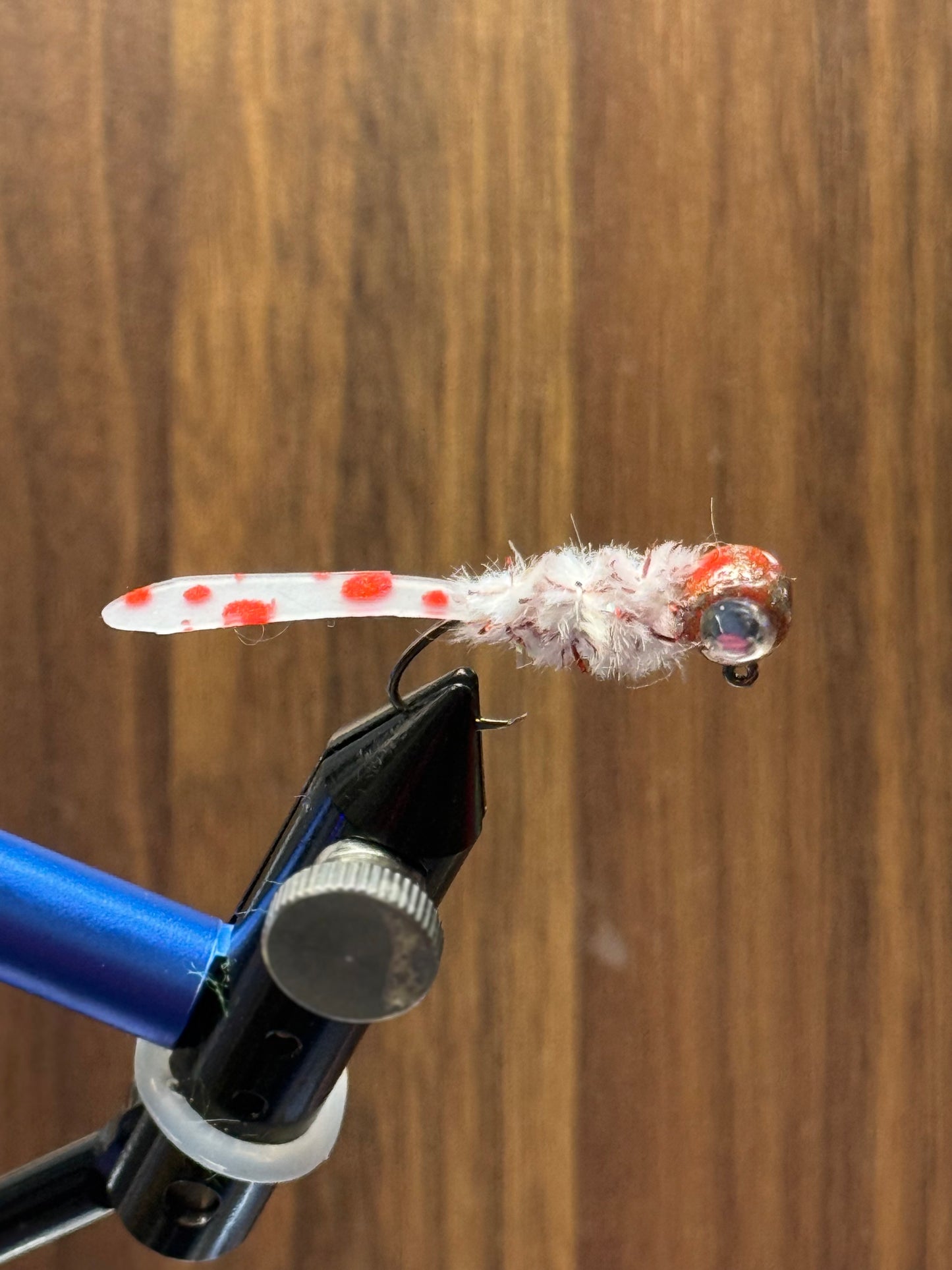 Bleeding Shad