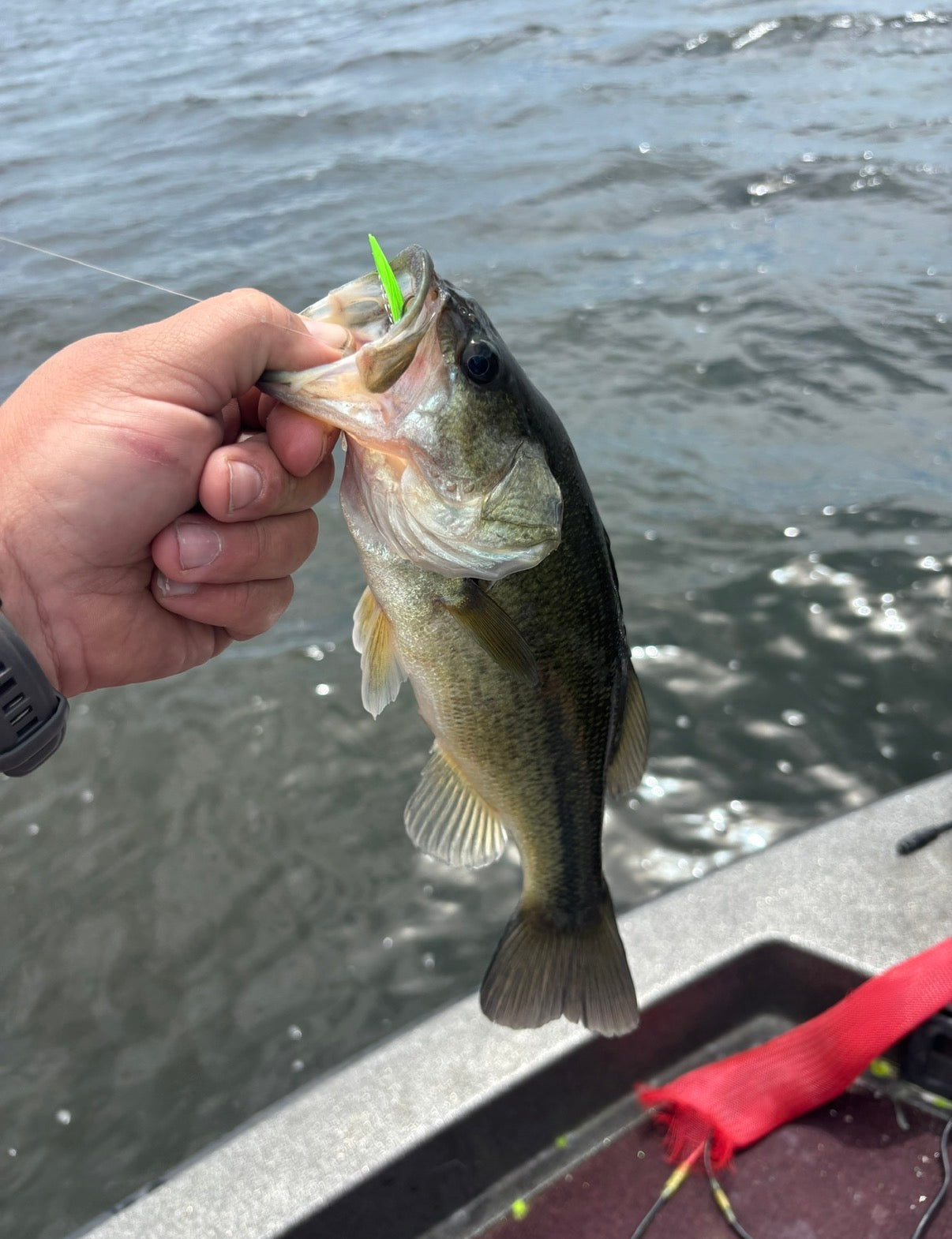 Electric hillbilly designed by pro Staff member Tyler Anderson