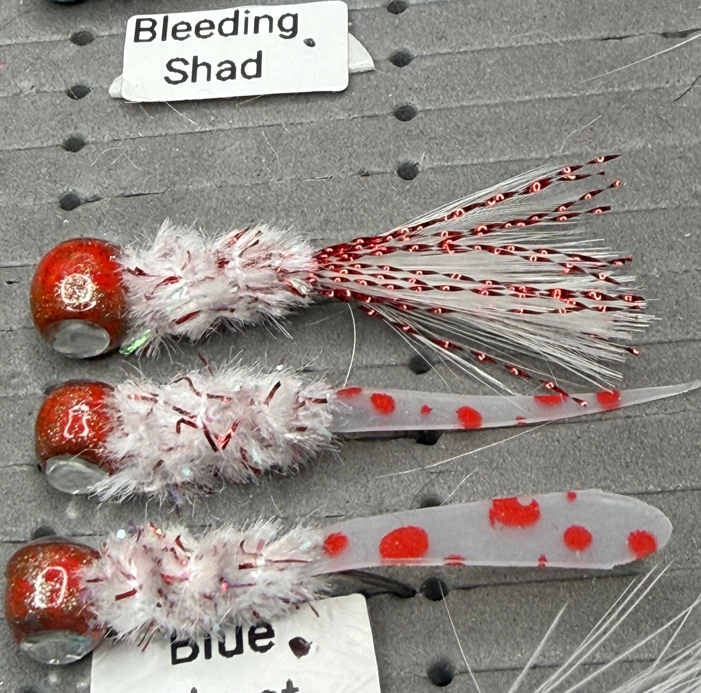Bleeding Shad
