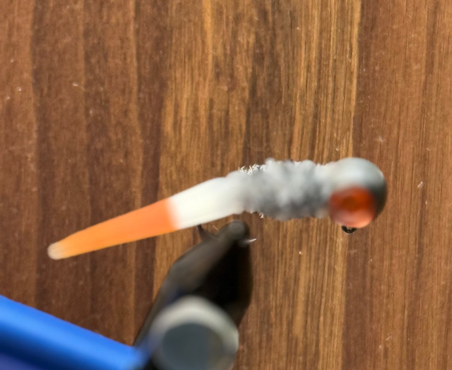 Sunset minnow