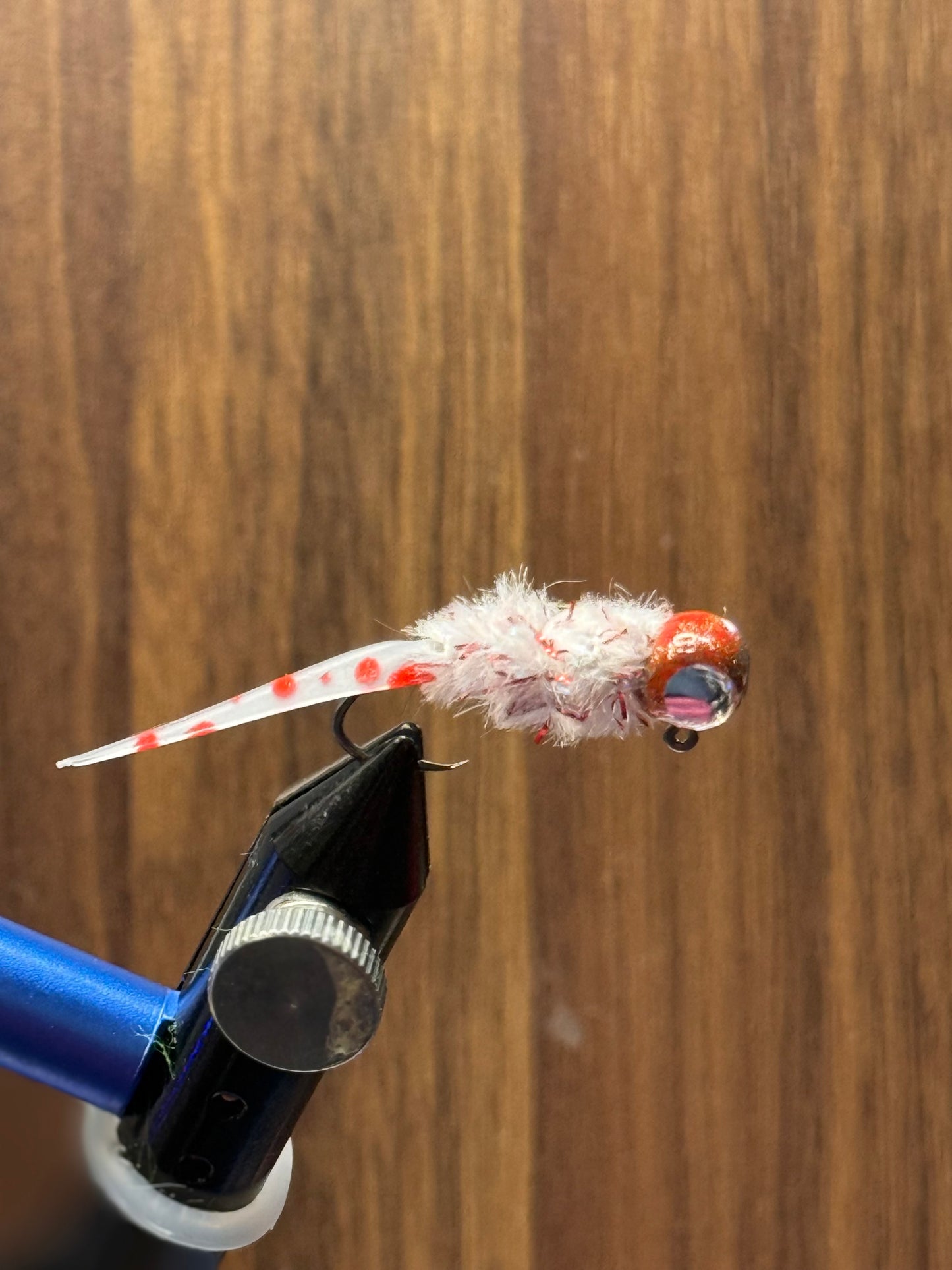 Bleeding Shad