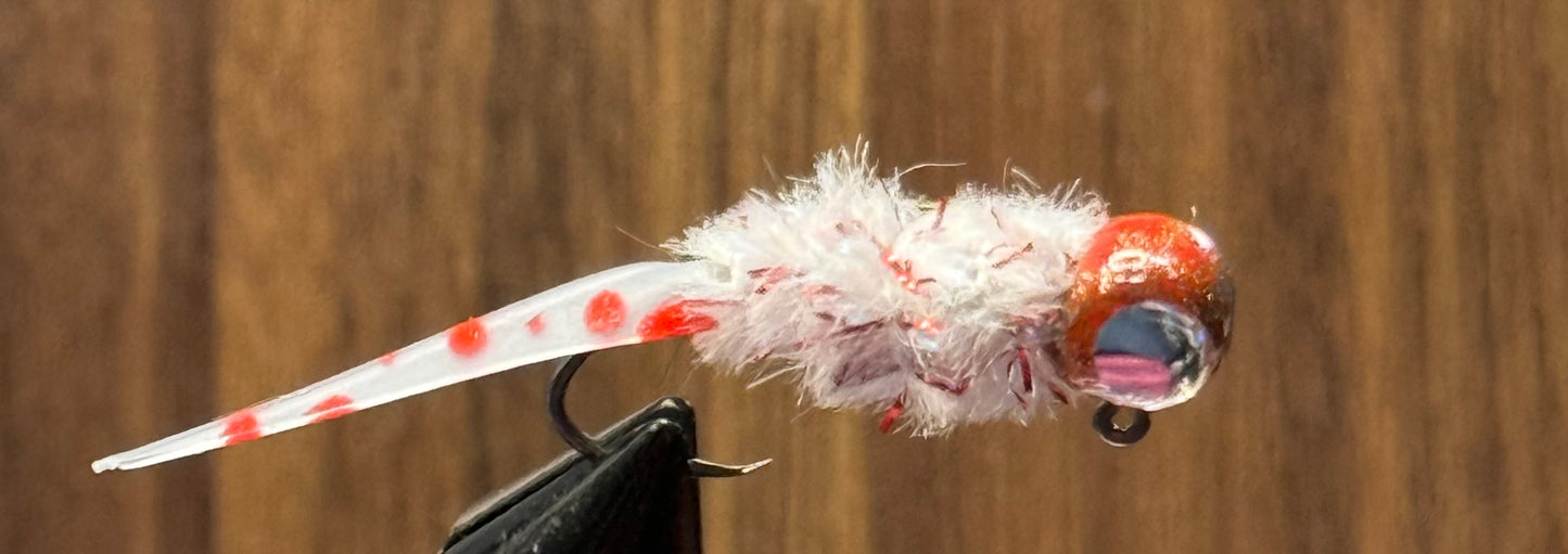 Bleeding Shad