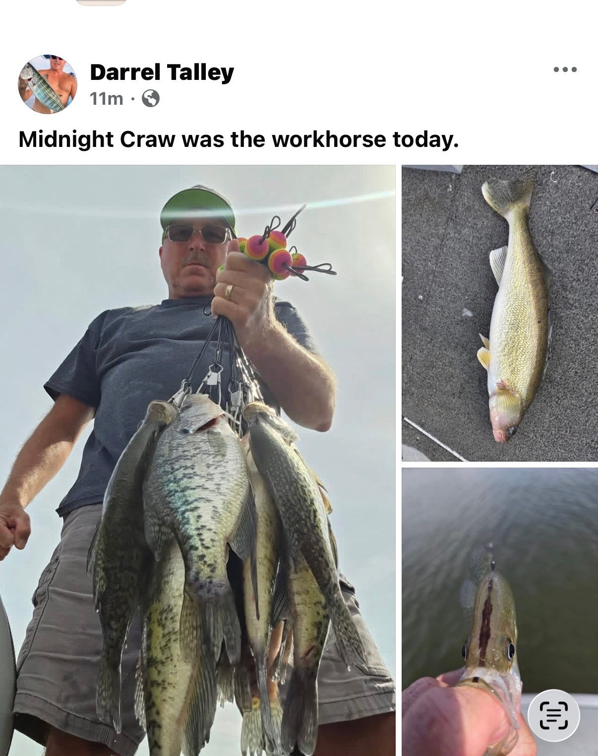 Midnight Craw
