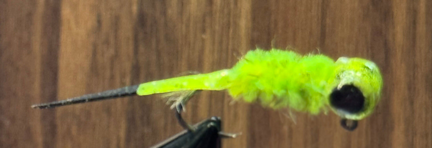 Toxic hornet